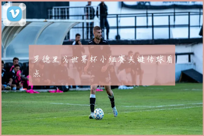 罗德里戈世界杯小组赛关键传球看点