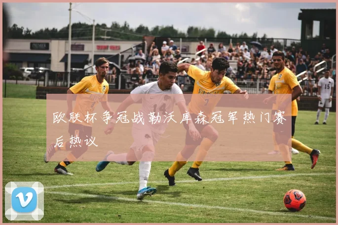欧联杯争冠战勒沃库森冠军热门赛后热议