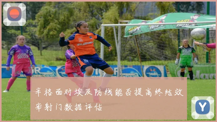 辛格面对埃及防线能否提高终结效率射门数据评估