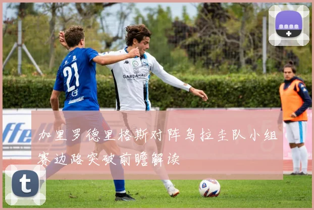 加里罗德里格斯对阵乌拉圭队小组赛边路突破前瞻解读