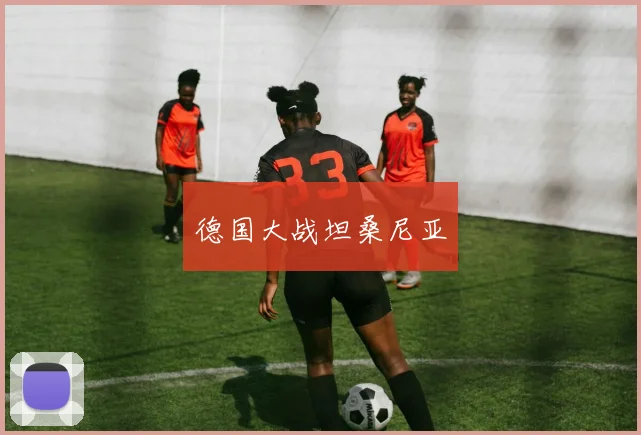 德国大战坦桑尼亚
