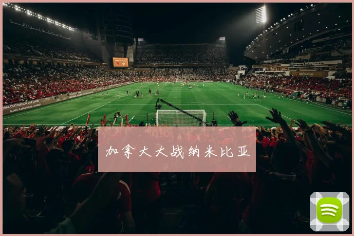 加拿大大战纳米比亚