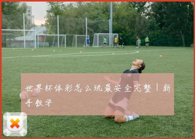 世界杯体彩怎么玩最安全完整｜新手教学
