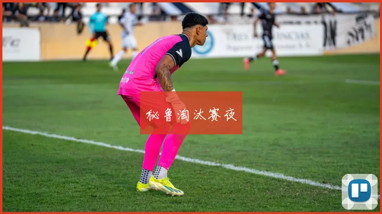 秘鲁淘汰赛夜