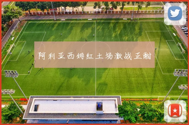 阿利亚西姆红土场激战正酣