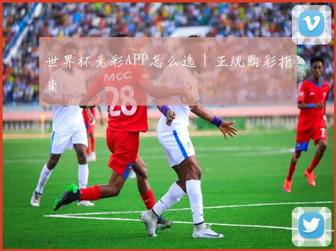 世界杯竞彩APP怎么选｜正规购彩指南
