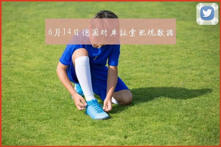 6月14日德国对库拉索犯规数据