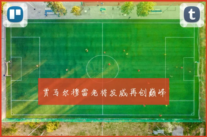 贾马尔穆雷老将发威再创巅峰