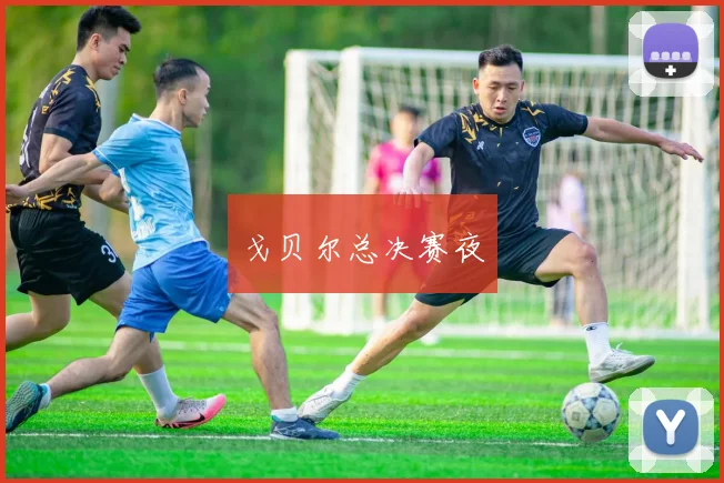 戈贝尔总决赛夜