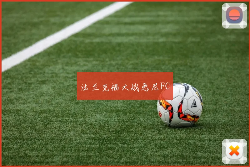 法兰克福大战悉尼FC