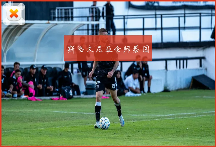 斯洛文尼亚会师泰国