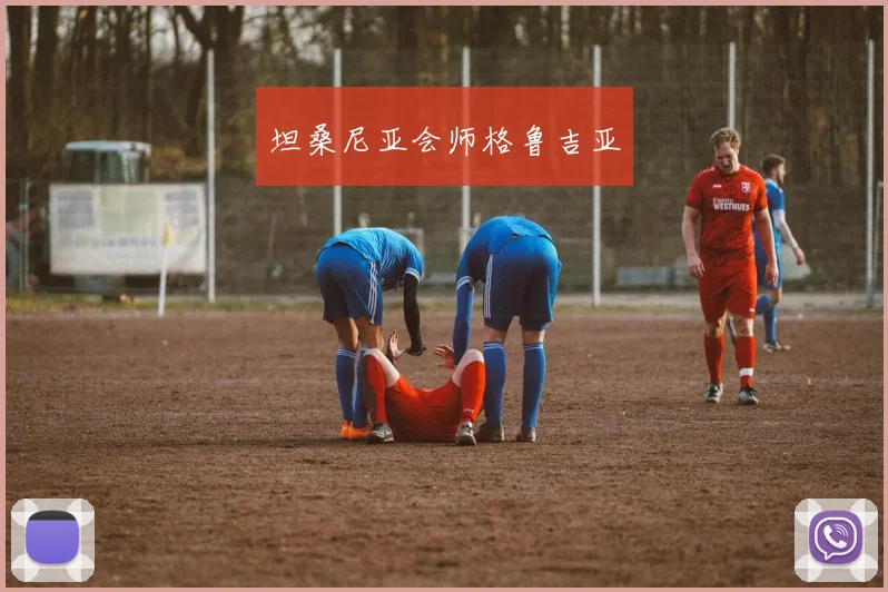 坦桑尼亚会师格鲁吉亚