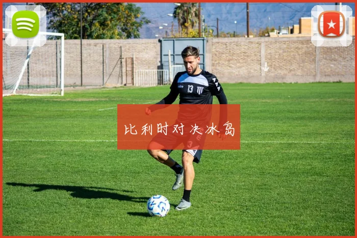 比利时对决冰岛