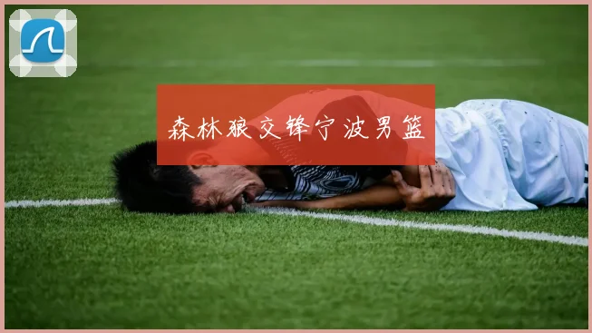 森林狼交锋宁波男篮