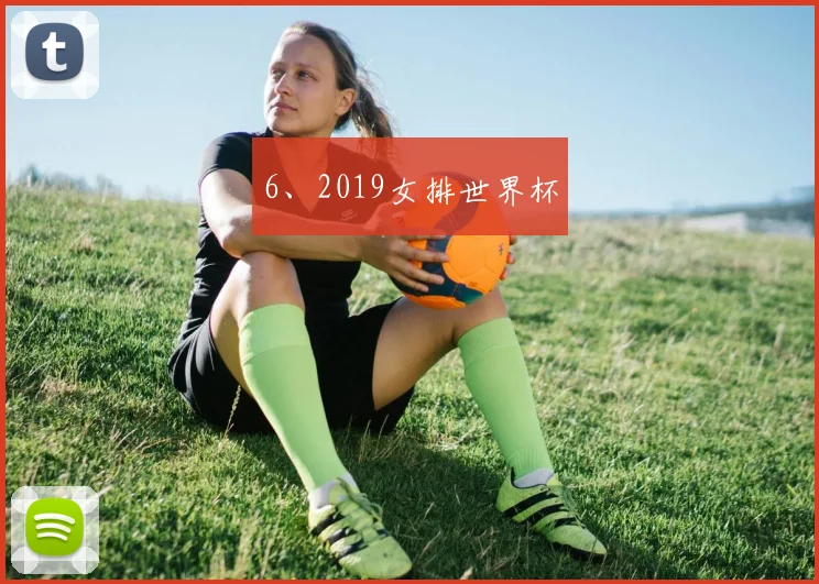 6、2019女排世界杯
