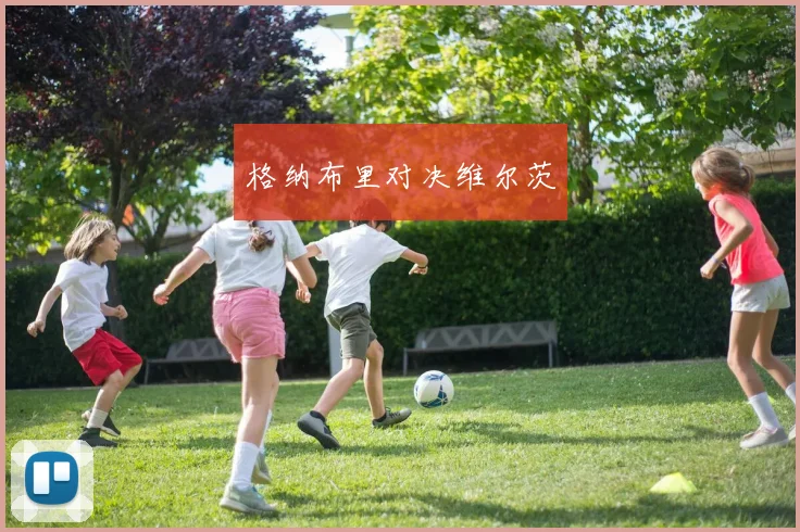 格纳布里对决维尔茨