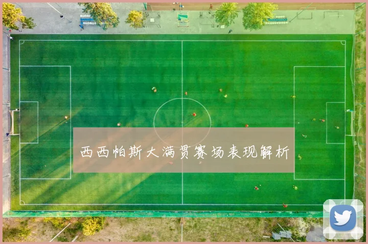 西西帕斯大满贯赛场表现解析
