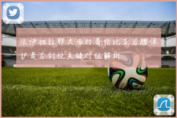 法伊祖拉耶夫面对哥伦比亚后腰保护是否到位关键对位解析