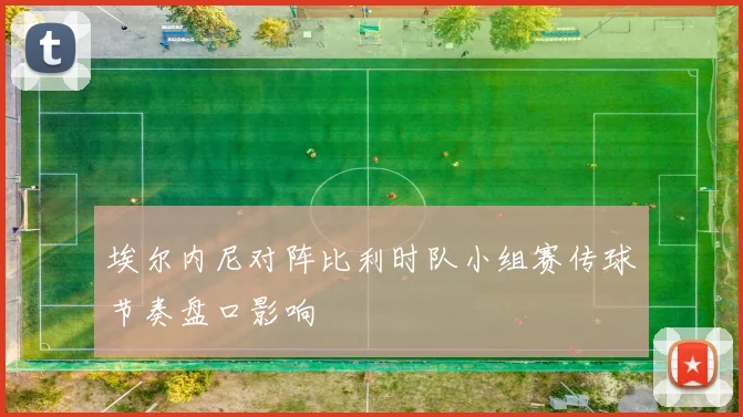 埃尔内尼对阵比利时队小组赛传球节奏盘口影响